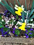 IMG_20210411_160347_1.jpg