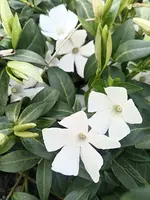 IMG_20210413_165459.webp