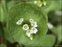 c012.webp