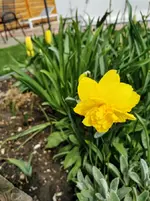 IMG_20210414_123228.jpg