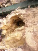 Foto 1 (Durchgang).webp