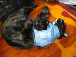 IMGP1366.JPG