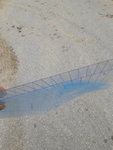 20210416_105946.jpg