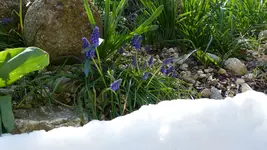 P1270835.webp