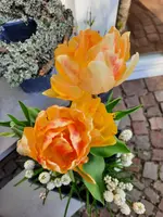 20210416_173028.webp