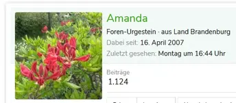 amanda.webp