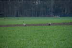 DSC09743.JPG