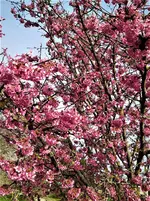 IMG_20210328_165656_1.webp