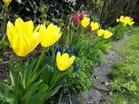 20210417_121611.webp