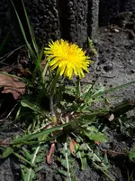 20210417_121527.webp
