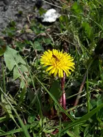 20210417_121534.webp