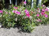 20210417_121459.webp