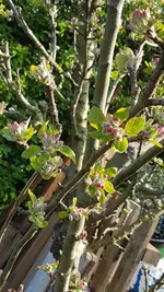20210417_181542.jpg