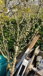 20210417_181533.webp