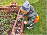 Jonas im Garten 2.jpg