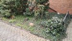 IMG-20210417-WA0008.jpeg