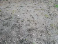 20210419_085143.webp