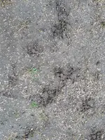 20210419_084737.webp