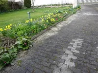 DSC01627.webp