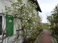 DSC01633.webp
