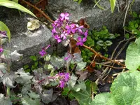 DSC01635.webp
