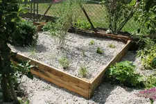 Sandbeet 2020 2.webp