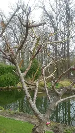 20210419_160701.webp