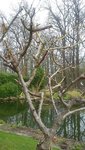 20210419_160701.jpg