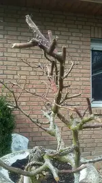 20210419_160647.webp