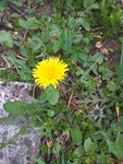 20210419_184433.jpg