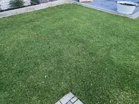 IMG_2461.webp IMG_2461.webp