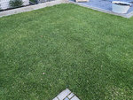 IMG_2461.jpeg