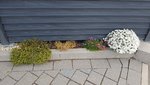 20210420_075335.jpg