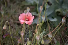 image001.webp