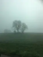 Nebel3.webp