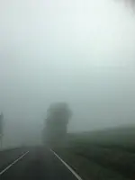 Nebel1.webp