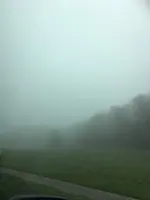 Nebel.webp