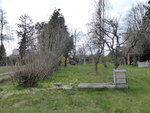 P1030272linke Gartenseite.JPG