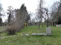 P1030272linke Gartenseite.webp