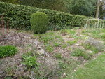 P1030284Blumenkannte.JPG
