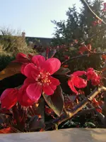 IMG_20210420_191316.webp