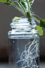 image001.webp