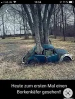 auto.webp