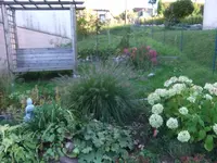 001.webp