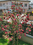 IMG_20210412_124701.png