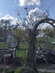 IMG_1738.JPG