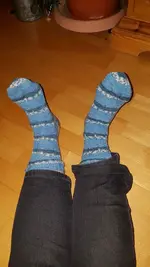 Socken W20M.webp