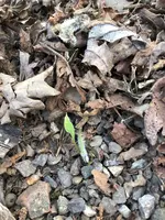 IMG_1783.webp IMG_1783.webp