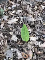 IMG_1782.webp IMG_1782.webp