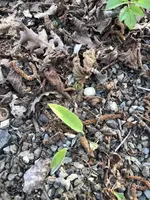 IMG_1781.webp IMG_1781.webp